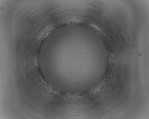 X0000070400774200606231801