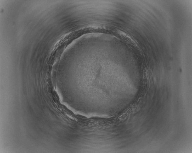 X0000070400776200606231801