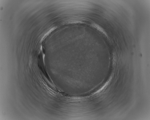 X0000070400777200606231801