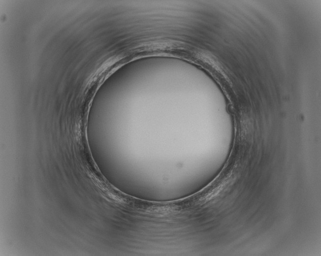 X0000070400778200606231801