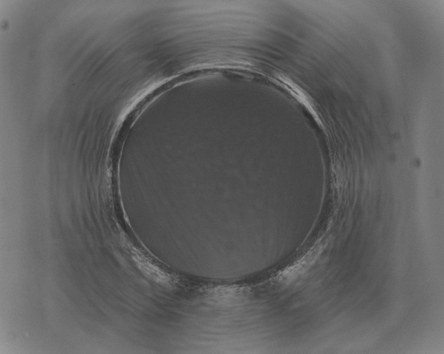 X0000070400779200606231801