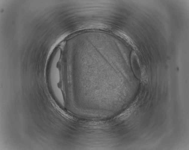 X0000070400780200606231801