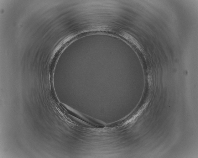 X0000070400781200606231801