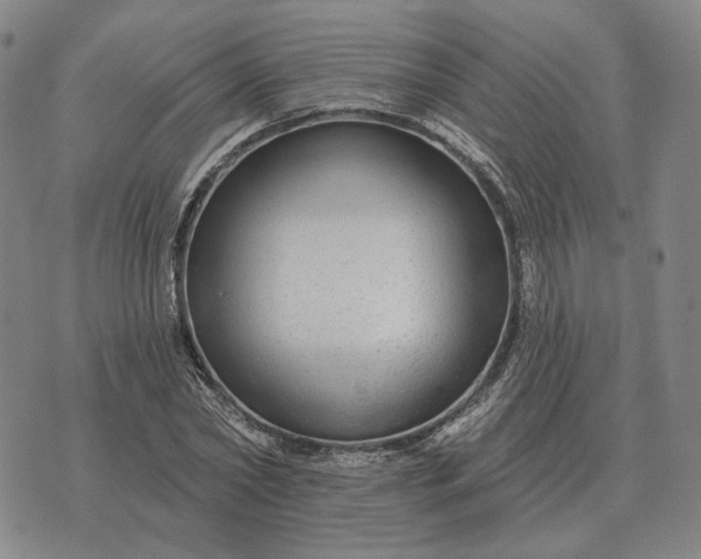 X0000070400782200606231801