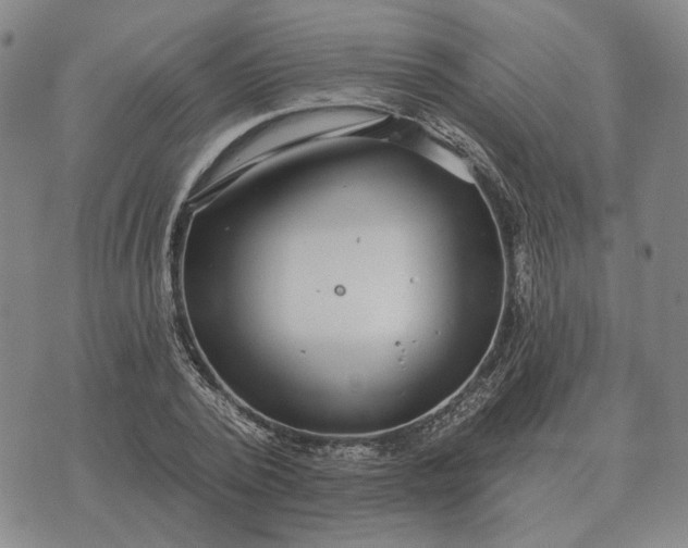 X0000070400784200606231801