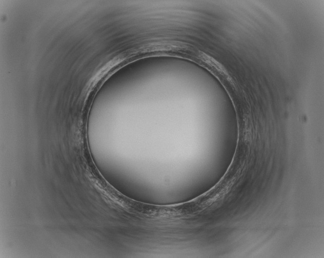 X0000070400786200606231801