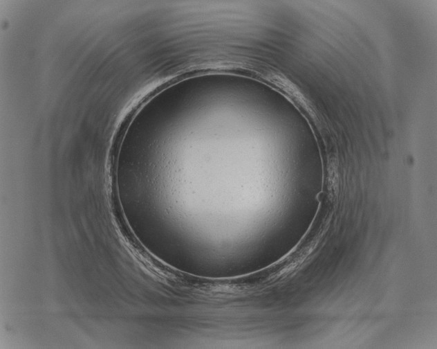 X0000070400787200606231801