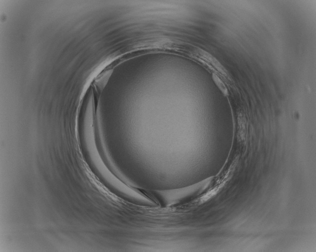 X0000070400788200606231801