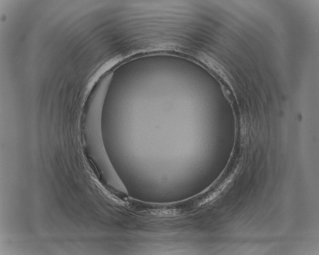 X0000070400789200606231801