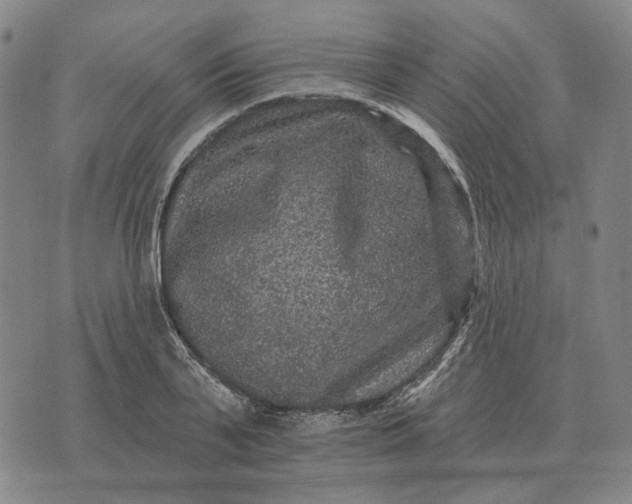 X0000070400791200606231801