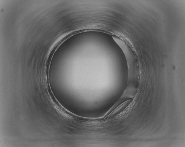 X0000070400792200606231801