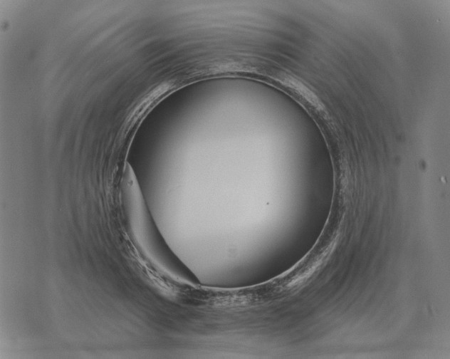 X0000070400793200606231801