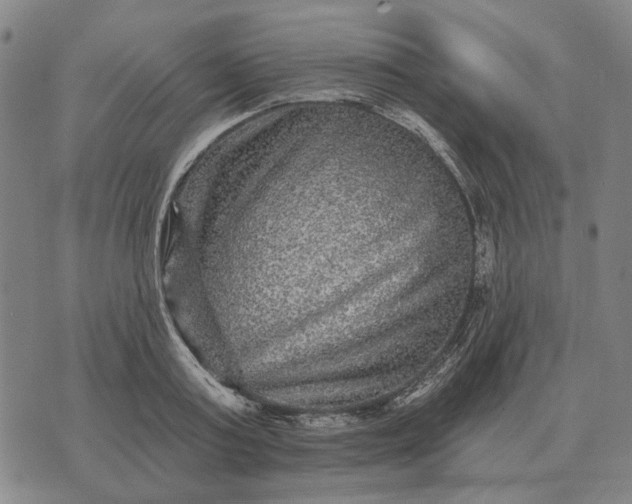 X0000070400795200606231801