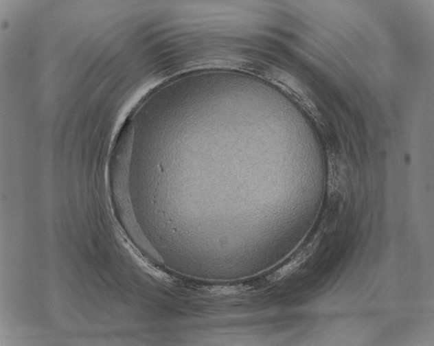 X0000070400796200606231801