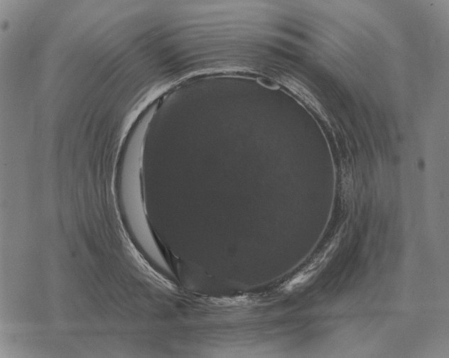 X0000070400797200606231801