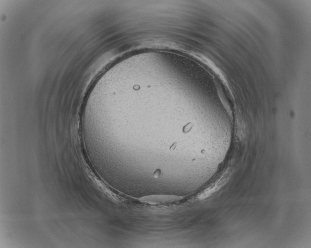 X0000070400799200606231801