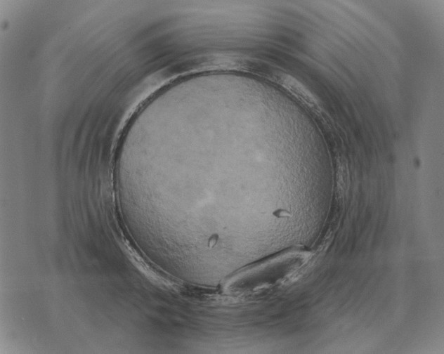 X0000070400800200606231801