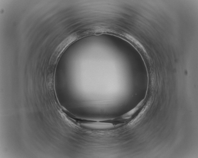 X0000070400801200606231801