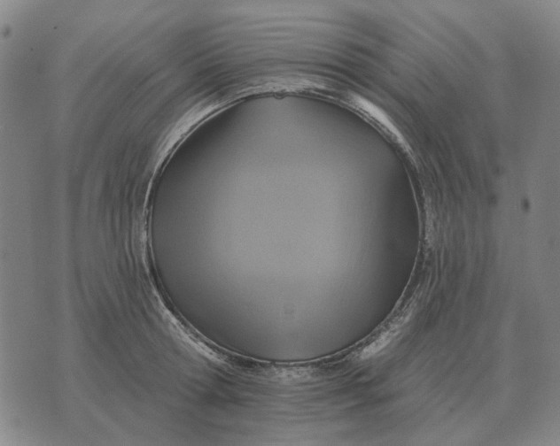 X0000070400802200606231801