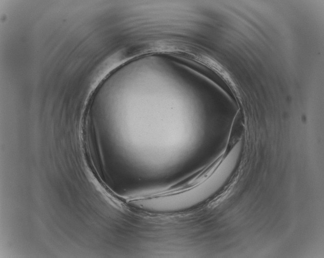 X0000070400803200606231801