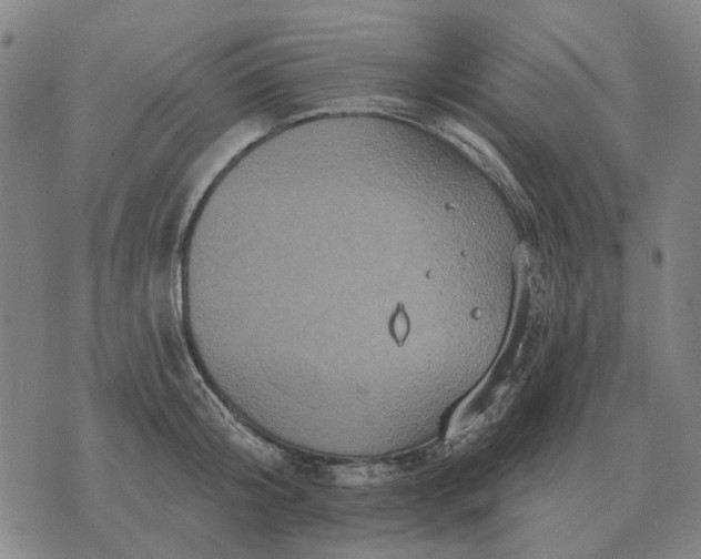 X0000070400804200606231801