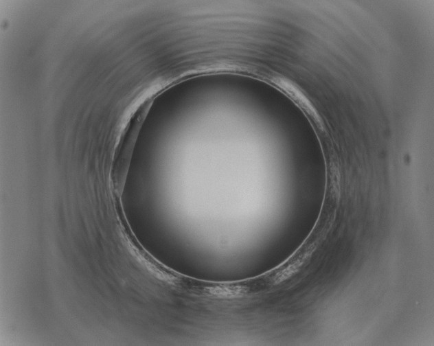 X0000070400805200606231801