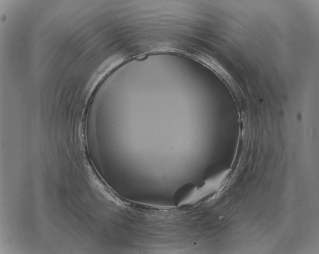 X0000070400806200606231801