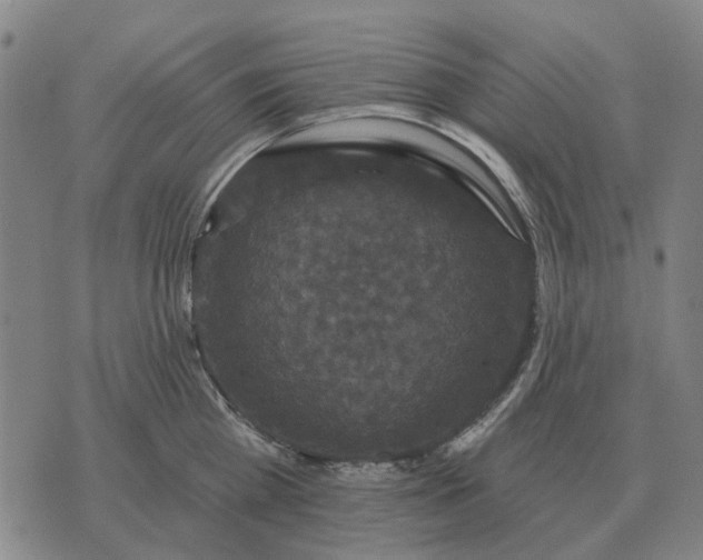 X0000070400809200606231801