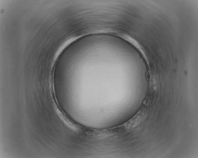 X0000070400811200606231801