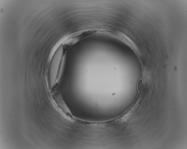 X0000070400812200606231801