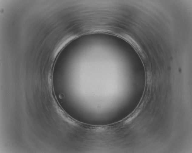 X0000070400814200606231801