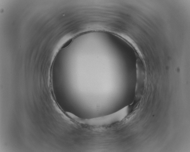 X0000070400815200606231801