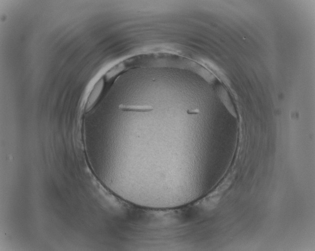 X0000070400816200606231801