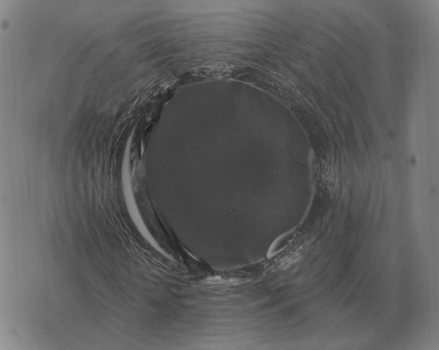 X0000070400818200606231800