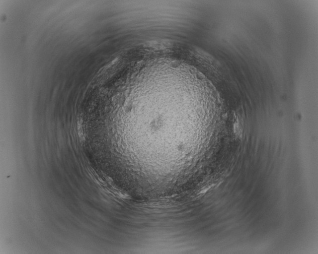 X0000070400819200606231800