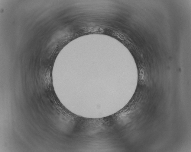 X0000070400820200606231800