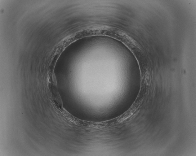 X0000070400821200606231800