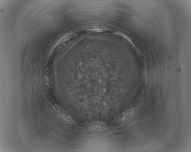 X0000070400823200606231800