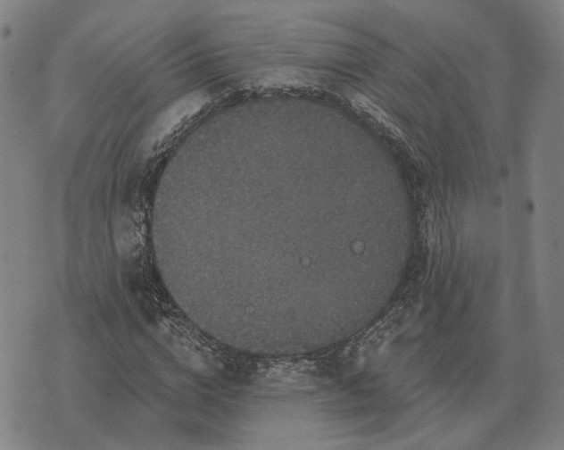 X0000070400824200606231800