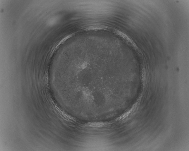 X0000070400825200606231800