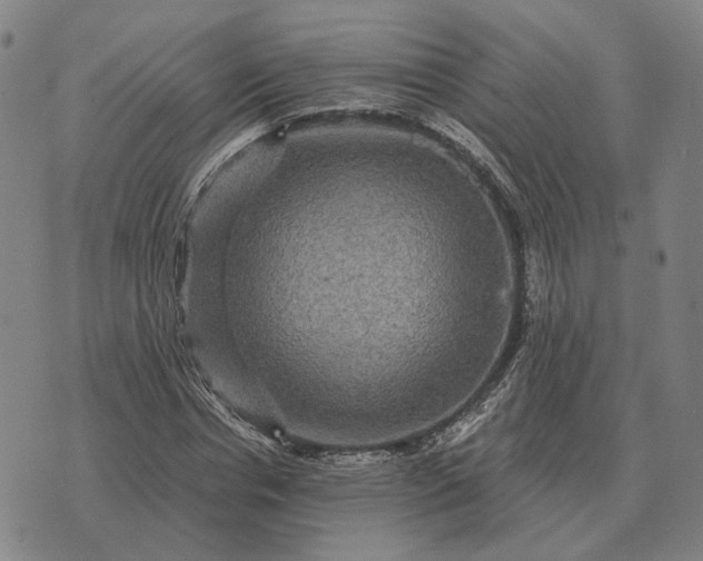 X0000070400826200606231800