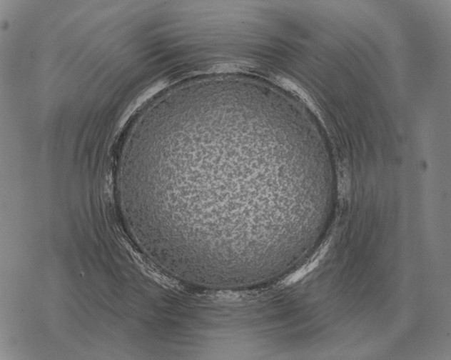 X0000070400827200606231800