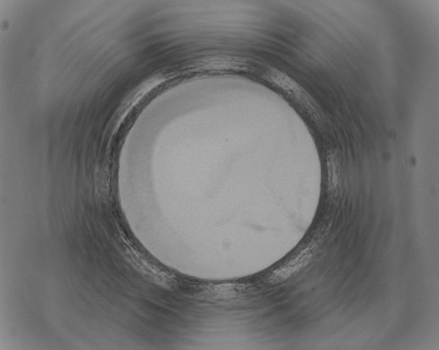 X0000070400828200606231800