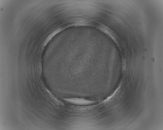 X0000070400829200606231800