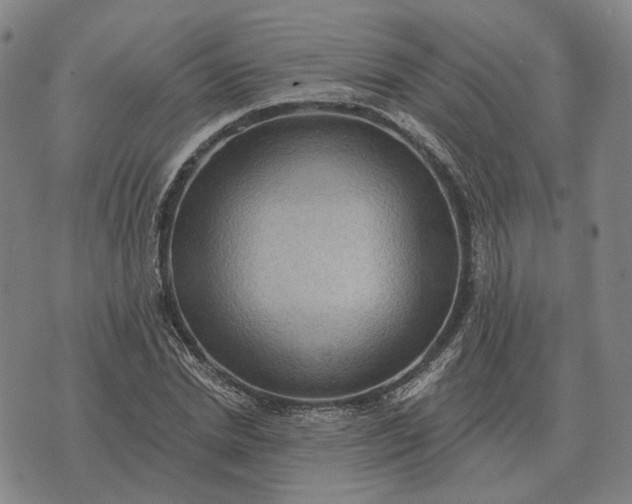 X0000070400830200606231800