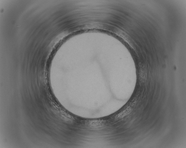 X0000070400832200606231800