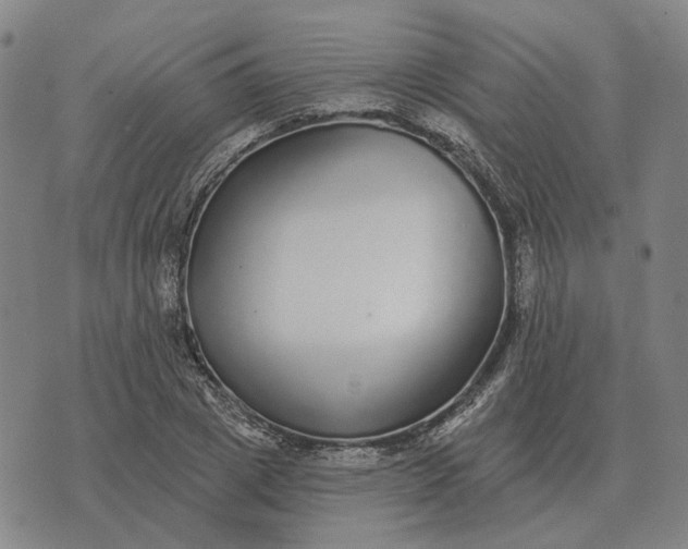 X0000070400833200606231800