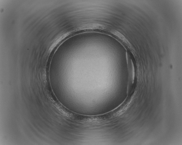 X0000070400834200606231800