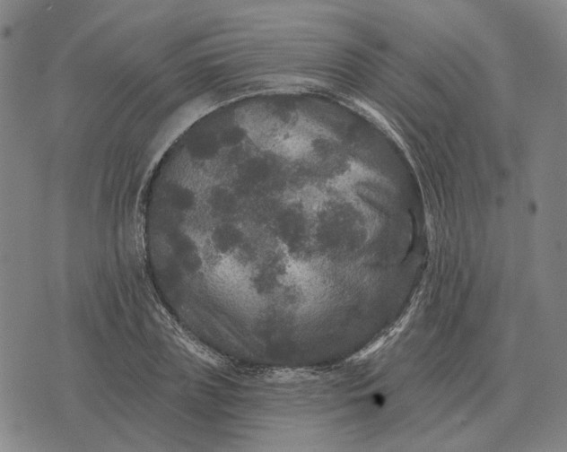 X0000070400835200606231800