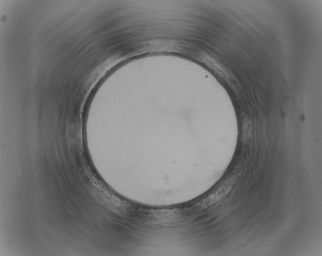 X0000070400836200606231800